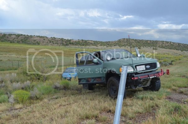 DSC_0398.jpg