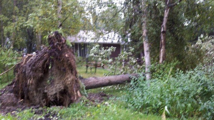 storm1.jpg