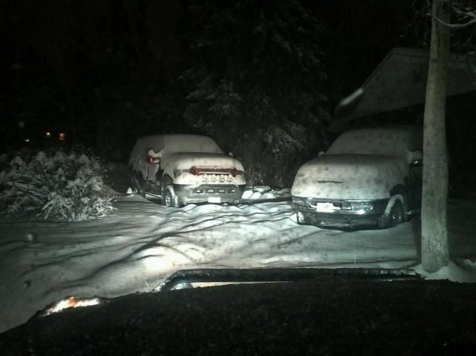 snow31.jpg snow31.jpg