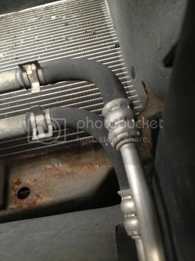 IMG_3457_zps7b91d3bc.jpg