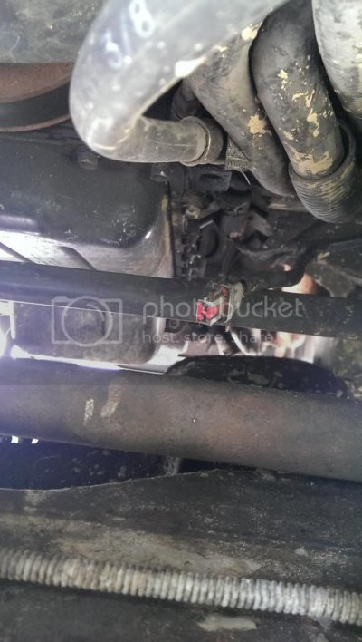IMAG0089_zps45d50ecd.jpg