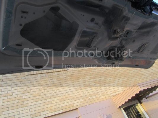 IMG_3219_zps0a30423d.jpg