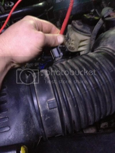 IMG_9518.jpg IMG_9518.jpg