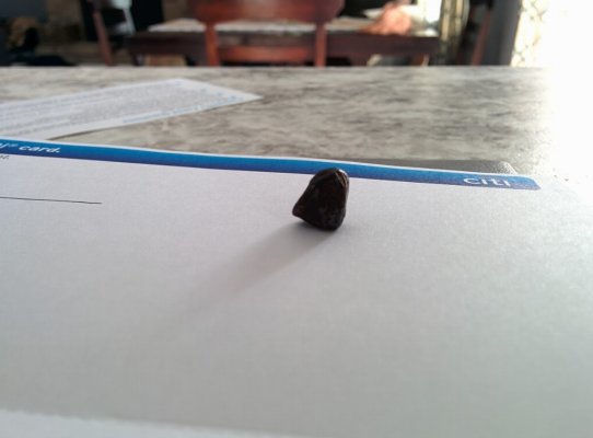 2015-03-10.jpg