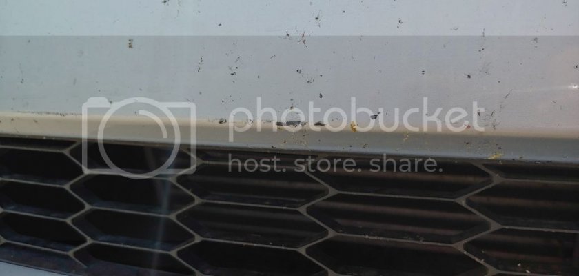 0729181240_zpses6cucqk.jpg 0729181240_zpses6cucqk.jpg