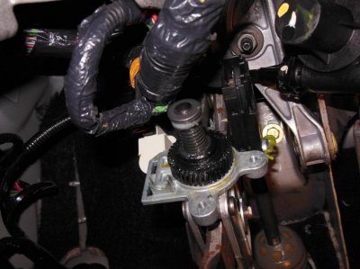 Expi gears 002.jpg