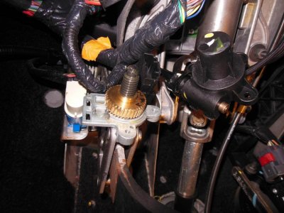 Expi gears 008.jpg