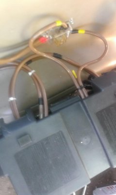 IMAG0799.jpg
