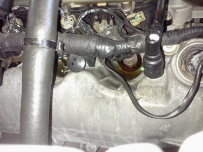 2008 exp (1).jpg