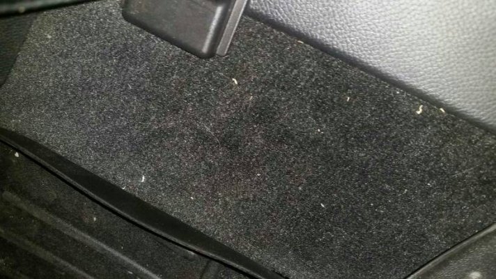 a2cee997e3505fb1c2c5a090c87de887.jpg a2cee997e3505fb1c2c5a090c87de887.jpg