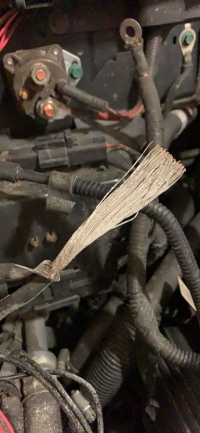 B6B4A920-120E-4B89-AD6D-FB1570ECE644.jpg