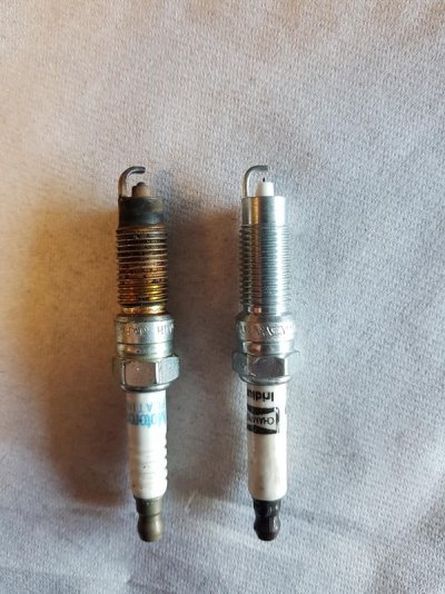 Spark-Plugs-2.jpg