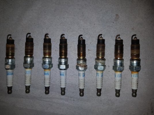 Spark-Plugs-3.jpg