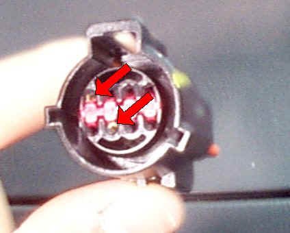 DRL_loopbackplug.jpg