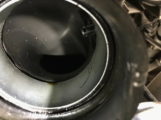 D4341D25-E397-4F3F-A347-045E931D0AF9.jpeg