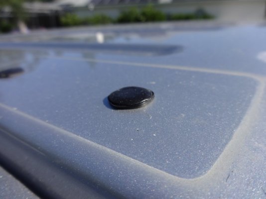 Plugged roof holes (1).JPG