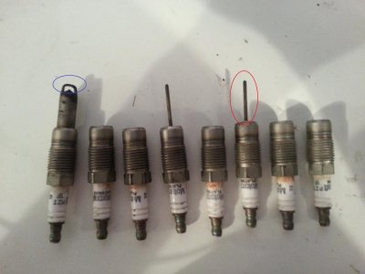 Electrodes.jpg