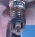 48443636_415977_thumbnail.jpg