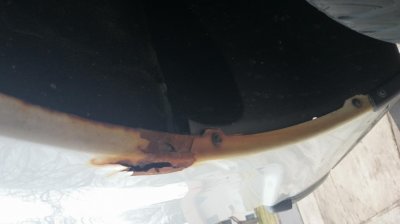 DSC_0108.jpg