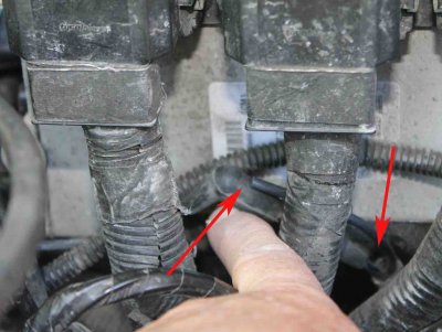 Unknown Hose (2).jpg