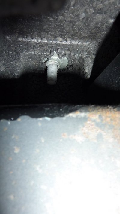 Rear Bump Step  Pad Nut.JPG