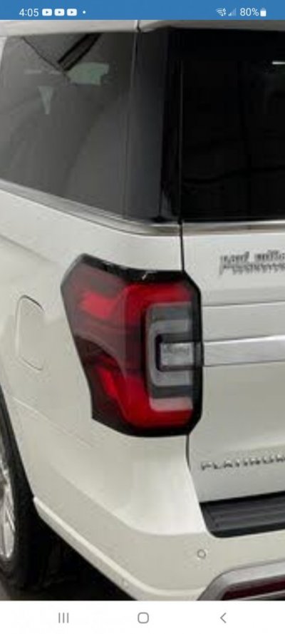 22PlatinumLEDtaillight.jpg