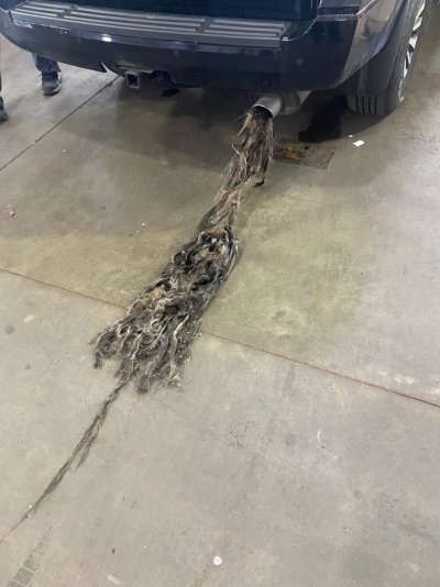 exhaust.jpg