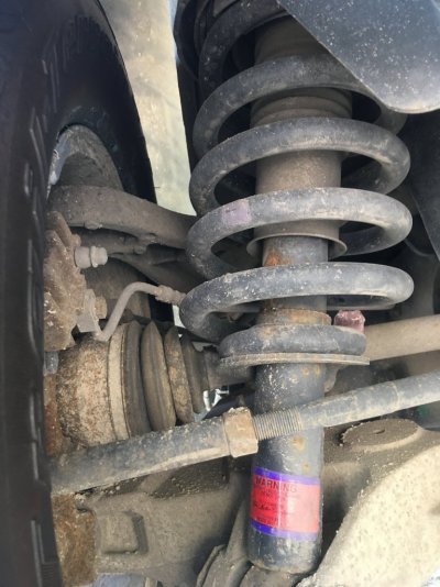 IMG_3115.jpg