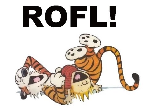 calvin-and-hobbes-rofl.jpg
