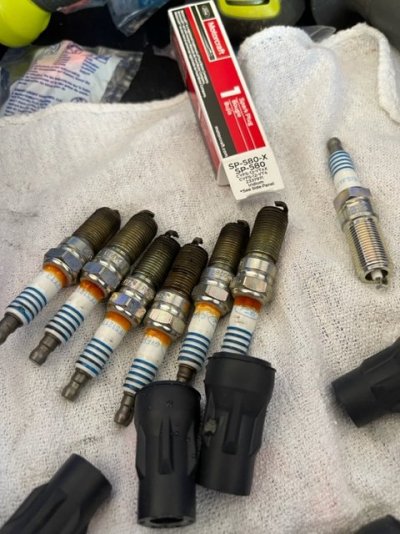 Old Plugs 3.jpg
