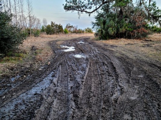 First Mud Puddle Crossing.jpg First Mud Puddle Crossing.jpg