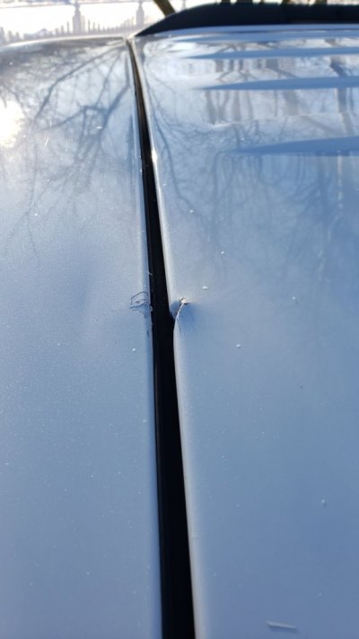 20240121_092443.jpg