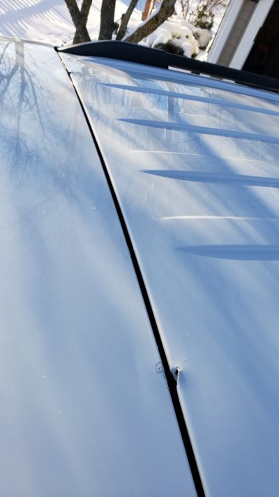 20240121_092449.jpg