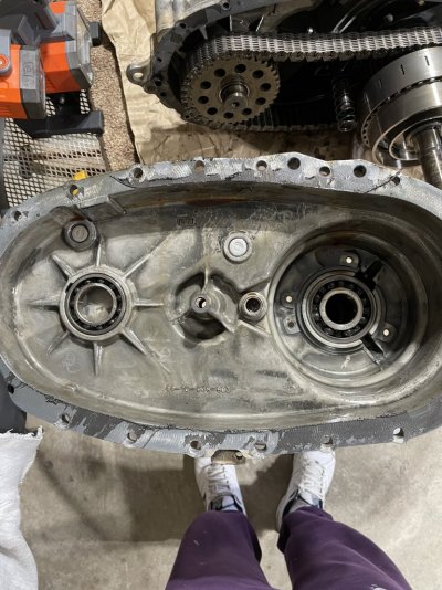 Case half - rear inside.jpg