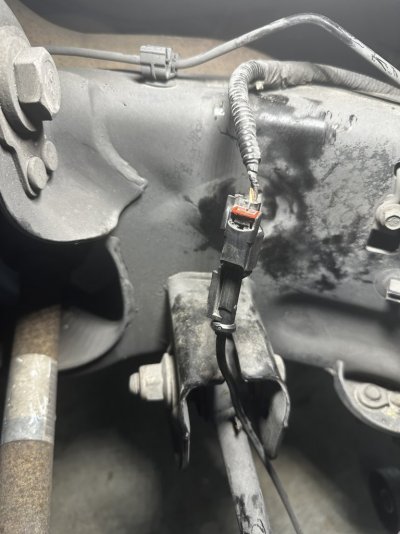 IMG_3970.jpeg