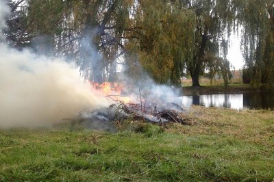 yardbrushfire.jpg