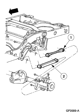 rear arms.gif