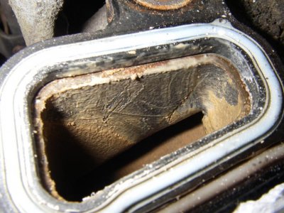 IMGP8800.jpg
