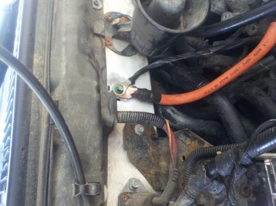 wire4.jpg wire4.jpg