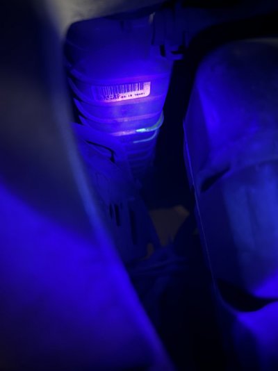 IMG_4316.jpeg