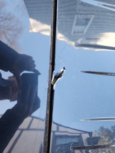 Roof Damage1.jpg