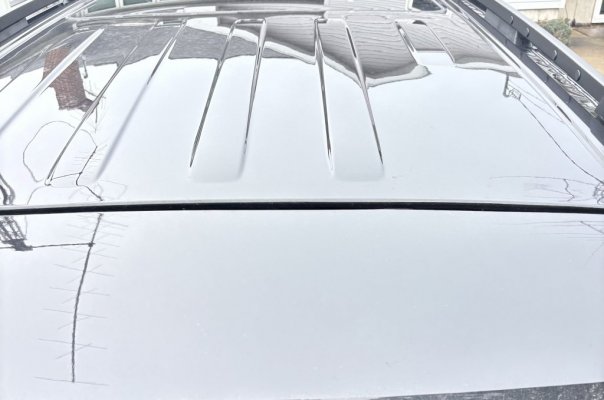 IMG_3172.jpeg