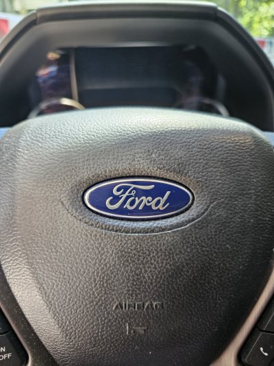 steering wheel.jpg steering wheel.jpg