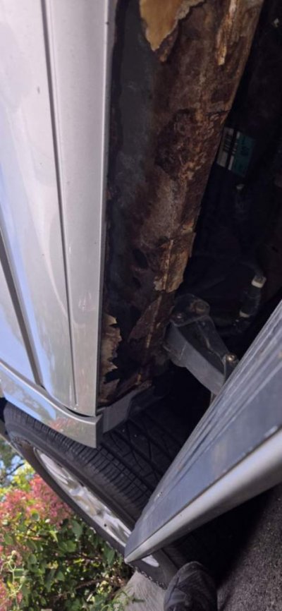 Resized_20250904_112955_1757563227292 (1).jpeg