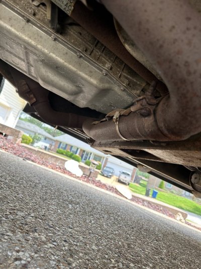 IMG_3209.jpeg IMG_3209.jpeg