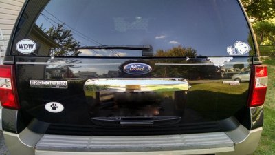 IMG_20150921_135833 (1).jpg