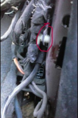 (pic #4).jpg
