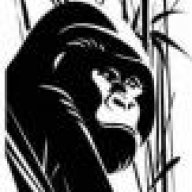 SilverBack