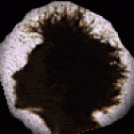 fPortal