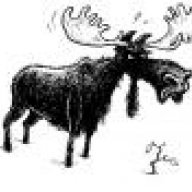 standardmoose